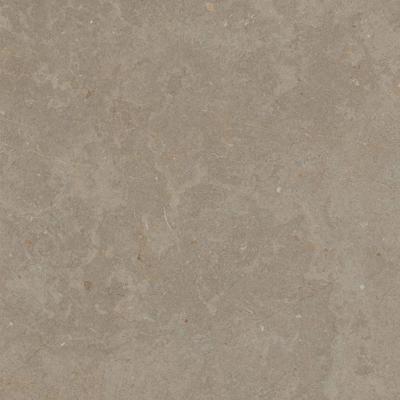 Ceramaxx Buitentegels Limerock Betonlook Gerectificeerd 60x60x3 cm Taupe - Buitentegels Limerock Betonlook Gerectificeerd 60x60x3 cm Taupe (prijs Per