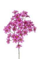 Dogwood mini l69cm magenta kunstbloem Louis Maes - Louis maes