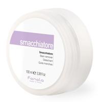 Fanola Professional Smacchiatore Stain Remover Lotion 150ml