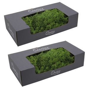 2x pakjes decoratie/hobby mos groen 500 gram