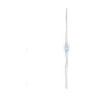 LED lichtsnoer Lumineo 12 m Zilverkleurig Wit