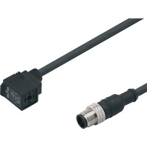 ifm Electronic E11427 E11427 Klepstekker met aangegoten kabel Inhoud: 1 stuk(s)