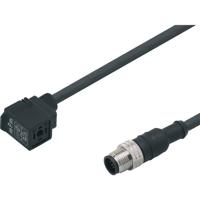ifm Electronic E11427 E11427 Klepstekker met aangegoten kabel Inhoud: 1 stuk(s)