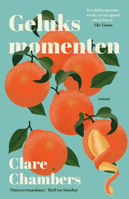 Geluksmomenten - Clare Chambers - ebook