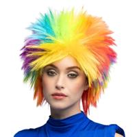 Verkleed Pruik regenboog - punk - pride - verkleden - carnaval - cosplay