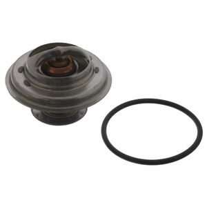 Thermostaat 01598