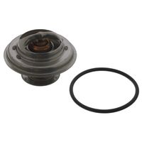 Thermostaat 01598