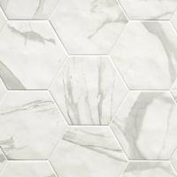 Hexagon Roma Statuario mat 21,6x25