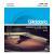 D&apos;Addario EJ79 snarenset voor mandobas