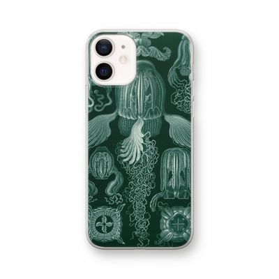 Haeckel Cubomedusae: iPhone 12 Transparant Hoesje