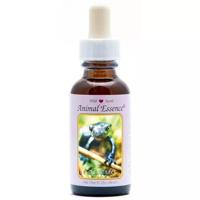 Animal Essences Salamander 30 Milliliter