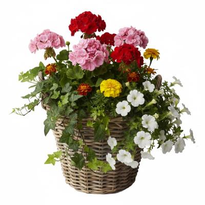 VD Leeden Plantenmand Klassiek - rond - bruin - 40 x 30 cm - rotan - gevlochten riet - bloemenmand