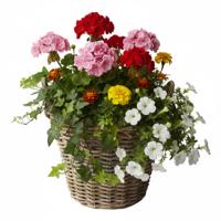 VD Leeden Plantenmand Klassiek - rond - bruin - 40 x 30 cm - rotan - gevlochten riet - bloemenmand