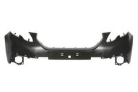 Bumper 5510005516900P