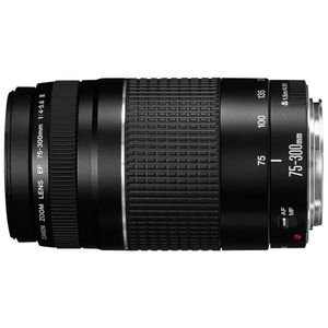 Canon EF 75-300mm F/4-5.6 III