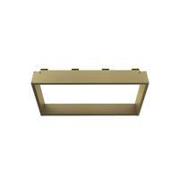 Opbouwnis BWS Colorato Doucherek voor Douchewand 30x60cm Geborsteld Goud