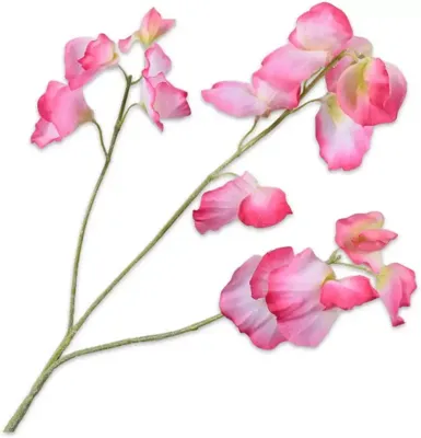 Silk-ka kunsttak lathyrus 66cm roze