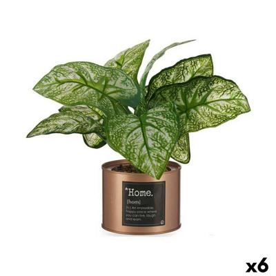 Decoratieve plant Ibergarden Home Metaal Plastic Blik 26 x 26 x 26 cm Koper (6 Stuks)