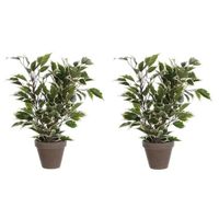 2x Groen/witte ficus kunstplanten 40 cm voor binnen