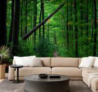 Groen bosontwerp foto behang jungle