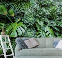 Fotobehang bos jungle