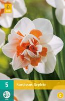 Narcis Replete 5 bollen