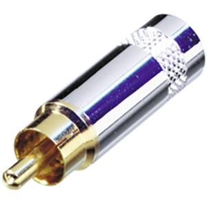 Rean AV NYS352G Cinch-connector Stekker 1 stuk(s)