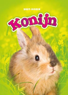 Konijn (Hardback)