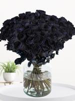 50 zwarte rozen - XL rozen