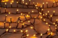 Led Classic Ivy 2000L42M - 5Mm Concave Led - 4Mtr kerstverlichting Anna's Collection - Annas collection