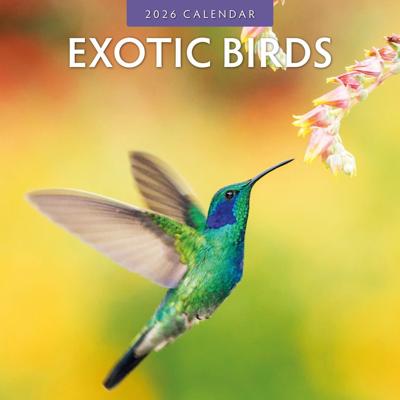 Exotic Birds Kalender 2026