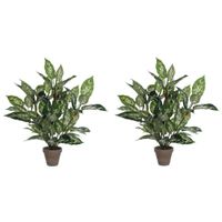 2x Groene Dieffenbachia kunstplanten 70 cm in pot