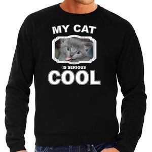 Grijze kat katten sweater / trui my cat is serious cool zwart voor heren