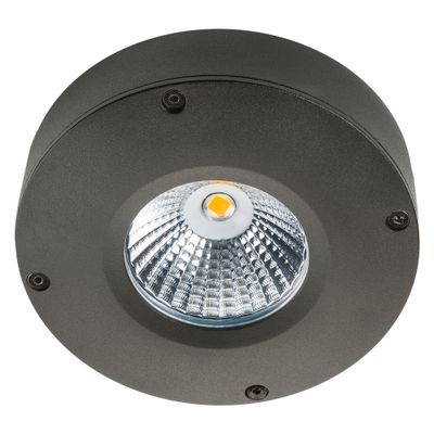 SG Callisto LED opbouw grafiet 4W 3000K dimbaar IP65 IK06