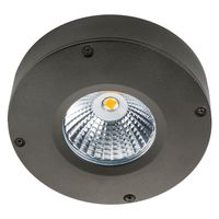 SG Callisto LED opbouw grafiet 4W 3000K dimbaar IP65 IK06