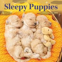 Slapende Puppies Kalender 2026