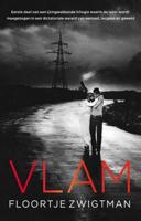 Vlam (Paperback)