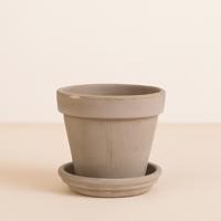 Terracotta pot grijs (incl. schotel) - P14 Terracotta pot grijs (incl. schotel) - P14