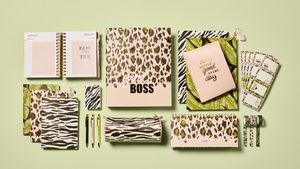 HEMA Etui Zebra Beautynezz