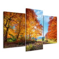 Schilderij - Kleurrijke herfstbomen, 3 luik, premium print - thumbnail