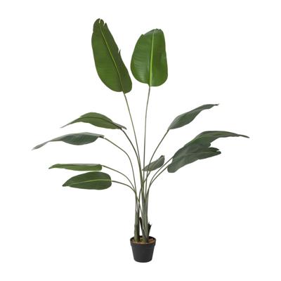 Kunstplant strelitzia - 160 cm