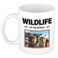 Alpaca mok met dieren foto wildlife of the world - thumbnail