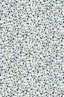 R.B. Boston T-Shirt 616670