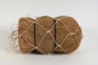 Coconut peeled half naturel - HBX Deco