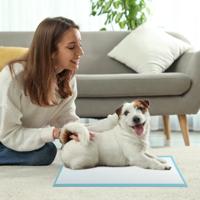 60 x 43 cm (300 Stuks) 6-laags Lekvrije Huisdierpads Voor Zindelijkheidstraining Super Absorberend
