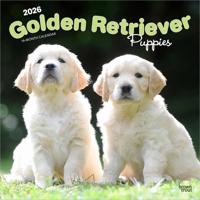 Golden Retriever Puppies Kalender 2026