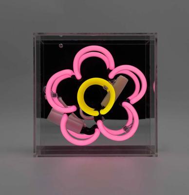Mini Glazen Neon Box - Daisy - Roze