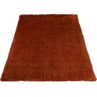 Veer Carpets - Karpet Lago Terra 63 - 160 x 230 cm - thumbnail