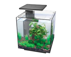 Superfish Qubiq 30 Pro Zwart Aquarium - 30L met Dimbare LED en Filtersysteem