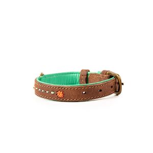 DWAM Joplin Bruin, Oranje, Turkoois Leer S Hond Standaard halsband